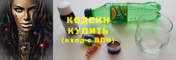 apvp Вяземский
