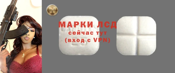 apvp Вяземский