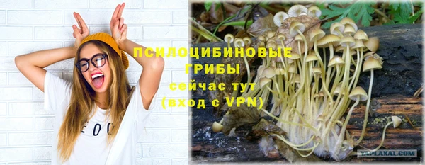 хмурый Волосово