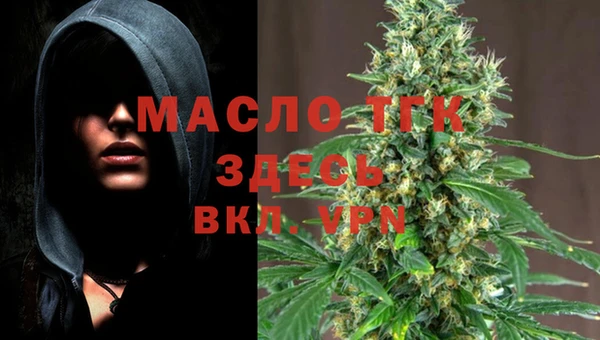 дживик Володарск