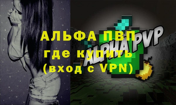 спиды Вязьма