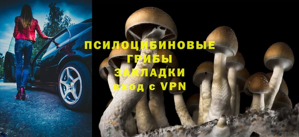 apvp Вяземский